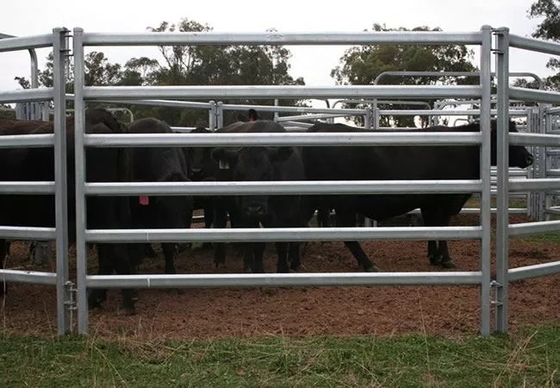 Φορητές επιτροπές φρακτών χάλυβα αγροτικού ζωικού κεφαλαίου της Αυστραλίας που γαλβανίζονται για τα βοοειδή