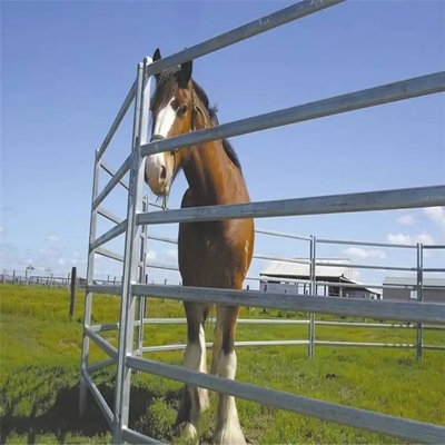 Άλογο 2.1m X 1.8m γαλβανισμένος σωλήνας καυτής εμβύθισης επιτροπών φρακτών ζωικού κεφαλαίου