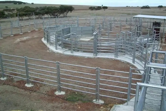 Φορητά ασημένια πάνελ 6ft X 10ft Wire Cattle Ανθεκτικά στις καιρικές συνθήκες