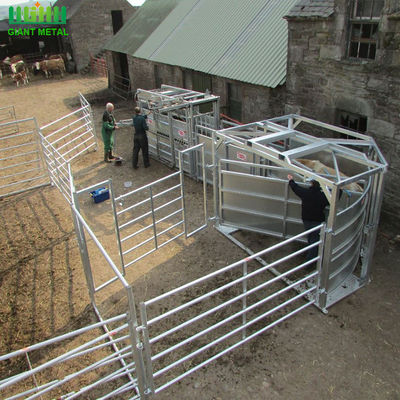 Γαλβανισμένο εν θερμώ 1,6 m Livestock φράχτη πάνελ με αξεσουάρ καρφίτσες / ωτίδες