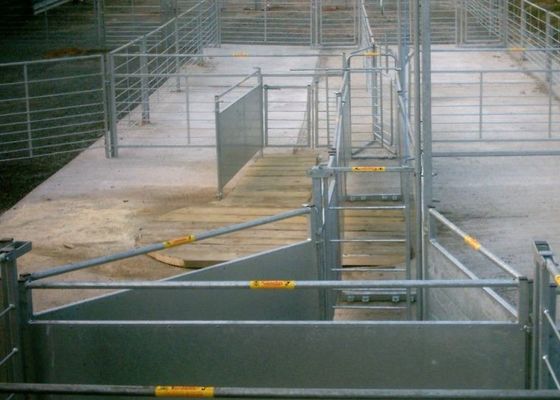 Τετραγωνικές ενωμένες στενά σωλήνας επιτροπές φρακτών ζωικού κεφαλαίου για τα βοοειδή