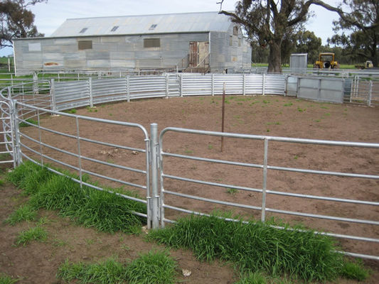 Γαλβανισμένο εν θερμώ 1,6 m Livestock φράχτη πάνελ με αξεσουάρ καρφίτσες / ωτίδες