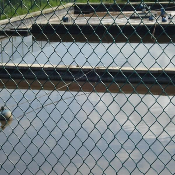 τα τελευταία νέα της εταιρείας για Φράκτης συνδέσεων αλυσίδων ασφάλειας πλέγματος 0