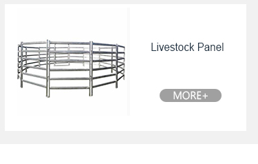 Ατσάλινα Συνέδριο Crash Προσαρμοσμένο Πρόβλημα Ελέγχου Τύπου Μπαρρακίδες 60 ίντσες 7