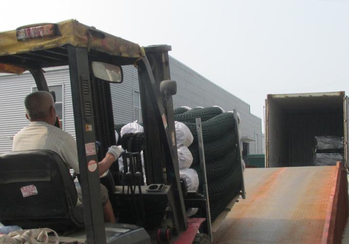 Γαλβανισμένο εν θερμώ αλυσίδα φράχτη από χαλύβδινο σύρμα χαμηλού άνθρακα για αγροτικό χωράφι 18