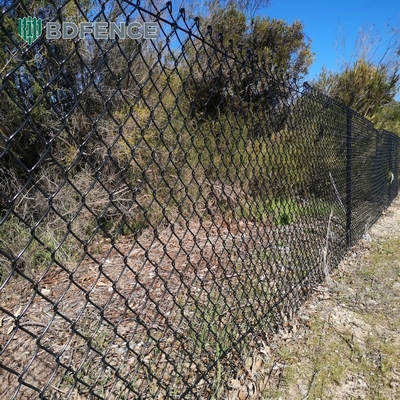 6ft ύψος διαμαντένιο πλέγμα αλυσίδα σύνδεση φράχτη ιδανικό για πράσινο κήπο αγροκτήματος τετραγωνικό είδος πόστα