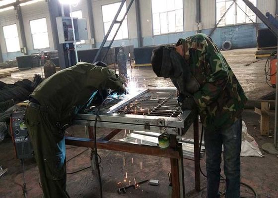 Διακόσμηση κήπου Χαμηλό 3D ατσάλινο σύρμα γαλβανισμένο επικαλυμμένο φράχτη στο Sliver